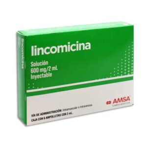 LINCOMICINA INY 600 MG C6