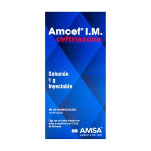AMCEF INY I.M. 1 GR C1