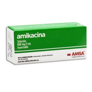 AMIKACINA INY 500 MG C/2