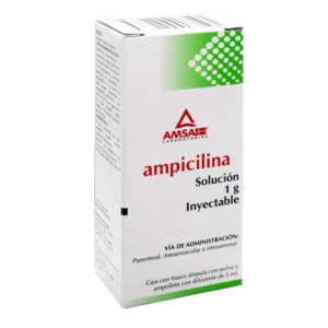 AMPICILINA INY 1 GR C/1
