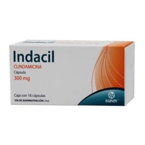 INDACIL CLINDAMICINA CAP 300 MG C/16